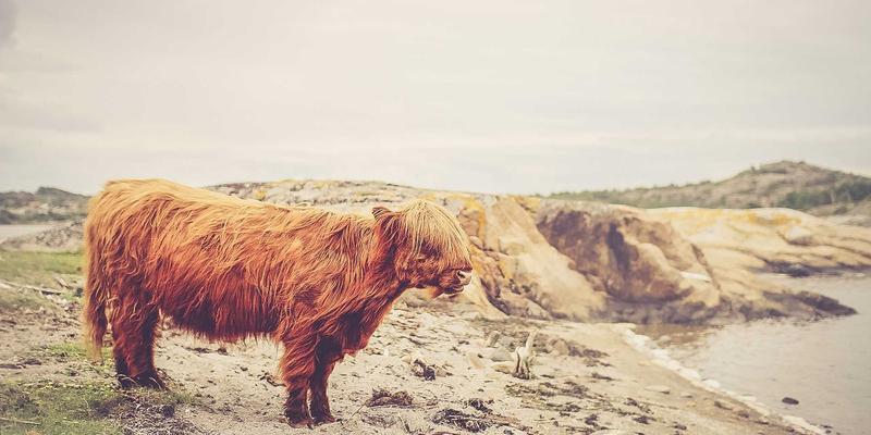 SQFT Global与专业物业管理：释放商业地产价值的核心引擎