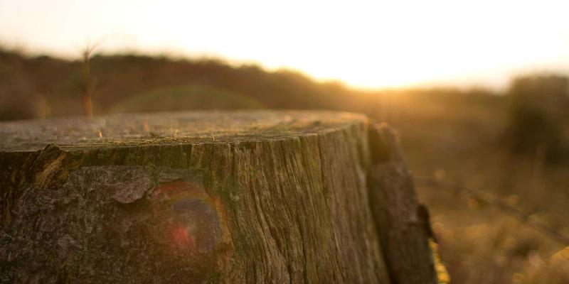 商业地产成功运营的三大支柱：从选址到物业管理的全周期策略