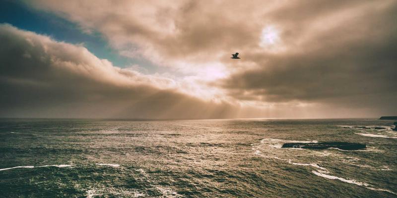 商业地产深度解析:办公空间解决方案与零售选址的战略对比