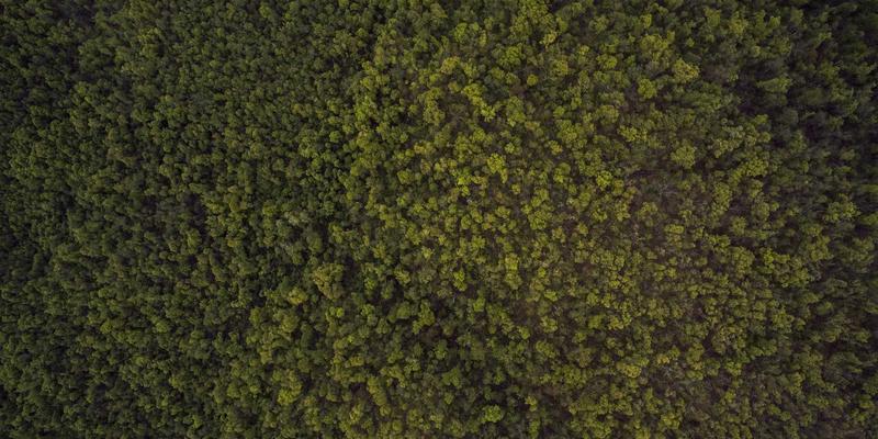 智慧空间新纪元：PropTech如何重塑商业地产的办公解决方案与零售选址