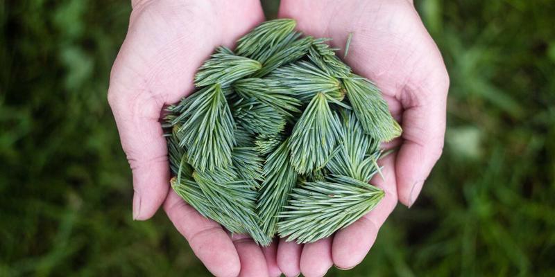 生命科学实验室地产投资与管理：从HVAC系统到合规性设计的全方位办公空间解决方案