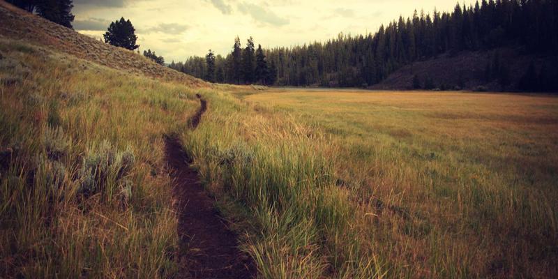 解锁商业地产价值：资本化率（Cap Rate）深度解读与全球办公空间投资决策