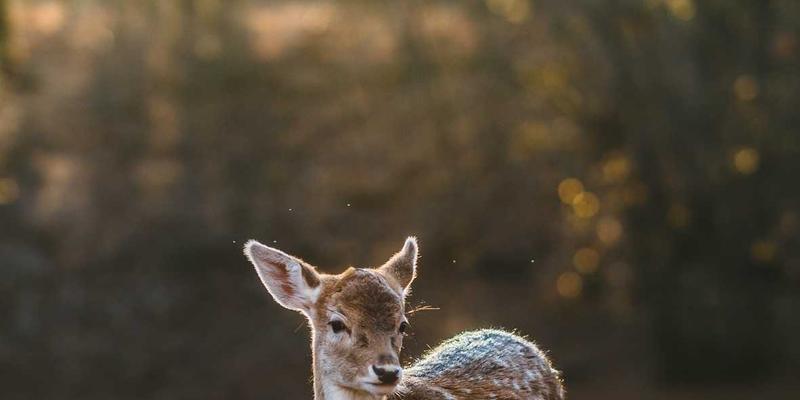 重塑未来：商业地产趋势下的办公空间解决方案与专业物业管理