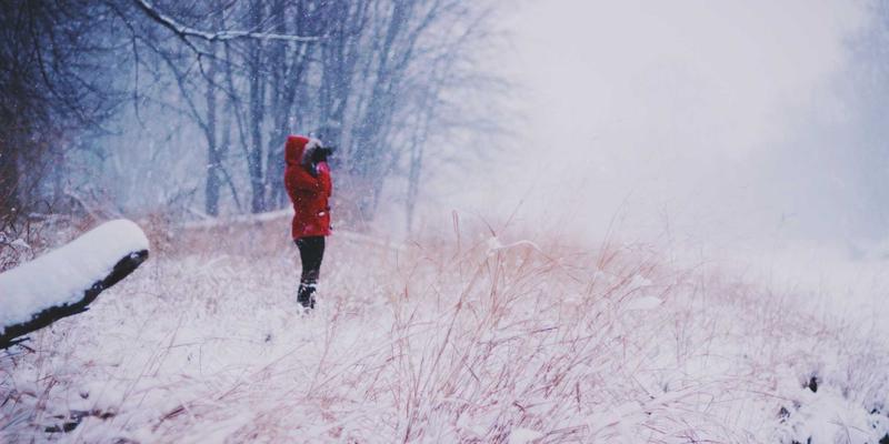 重塑零售空间：电商时代下零售物业的转型与全球工作空间机遇