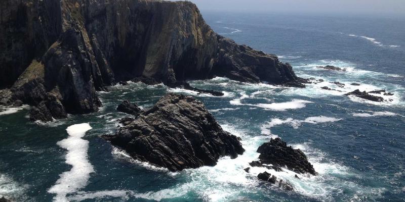 驾驭全球商业地产新浪潮：从零售据点到灵活办公空间的战略转型