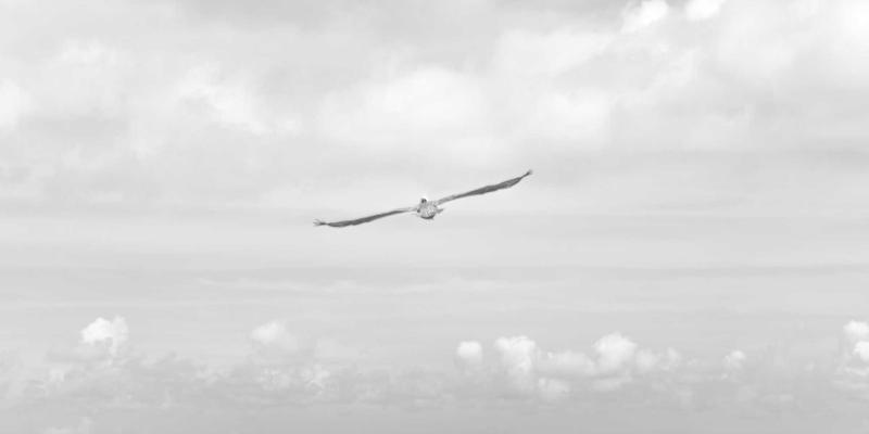 驾驭商业地产新格局:零售区位与办公空间解决方案的战略洞察