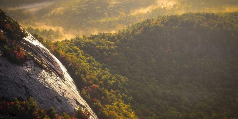 驾驭商业地产格局：从物业运营到办公空间解决方案的全面指南